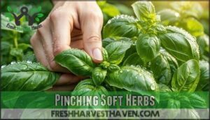 pinching soft herbs