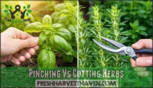 pinching vs cutting herbs