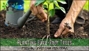planting bare-root trees