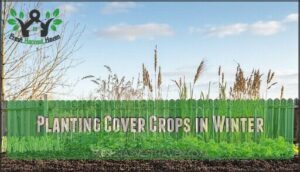 planting cover crops in winter