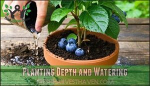 planting depth and watering