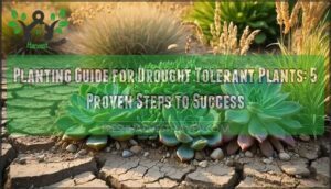planting guide for drought tolerant plants