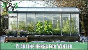 planting herbs for winter