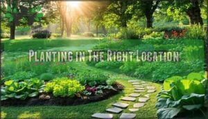 planting in the right location