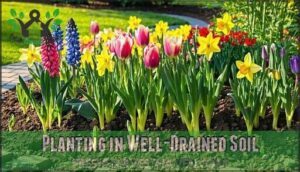 planting in well-drained soil