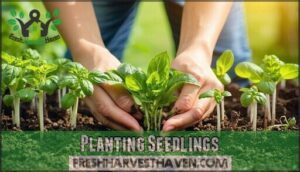 planting seedlings