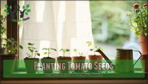planting tomato seeds