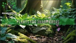 plants for shady areas