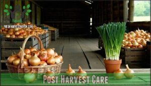 post harvest care