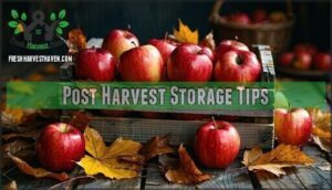 post harvest storage tips
