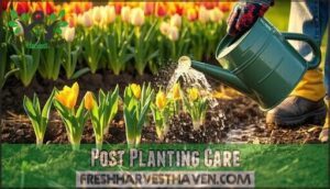 post planting care