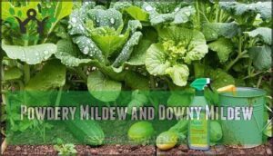 powdery mildew and downy mildew