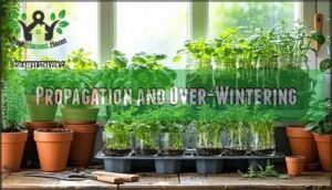 propagation and over-wintering