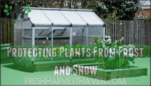 protecting plants from frost and snow