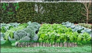 protection from cold winds