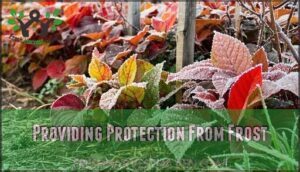 providing protection from frost