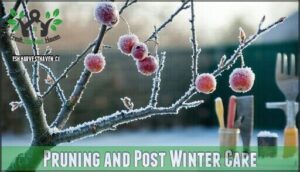 pruning and post winter care