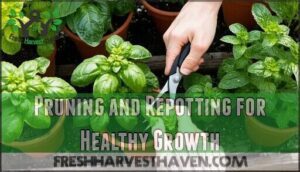 pruning and repotting for healthy growth