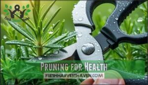 pruning for health