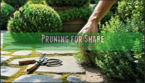 pruning for shape