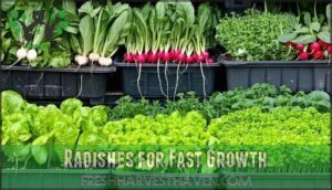 radishes for fast growth