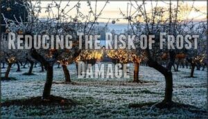 reducing the risk of frost damage