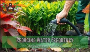 reducing water frequency