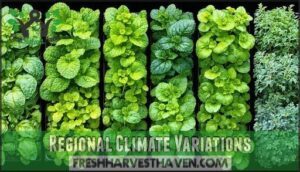 regional climate variations