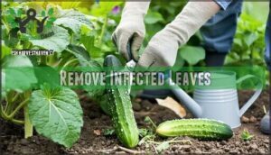 remove infected leaves