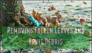 removing fallen leaves and fruit debris