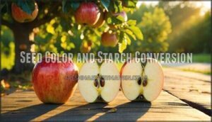seed color and starch conversion