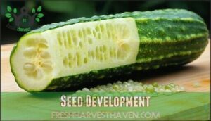 seed development