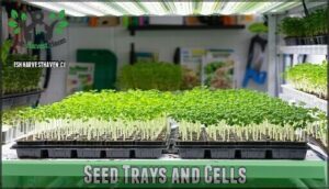 seed trays and cells