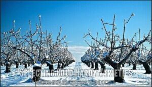 selecting cold hardy varieties