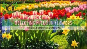 selecting full sun flowers