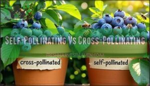 self-pollinating vs cross-pollinating