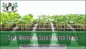 self-watering seed starter trays