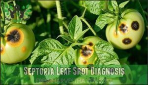 septoria leaf spot diagnosis
