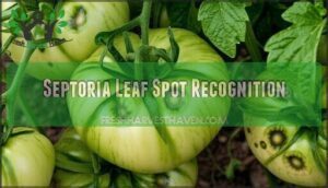 septoria leaf spot recognition