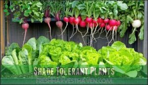 shade tolerant plants
