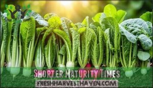 shorter maturity times