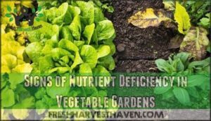 signs of nutrient deficiency in vegetable gardens