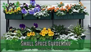 small space gardening