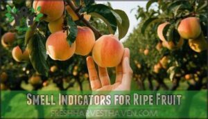 smell indicators for ripe fruit