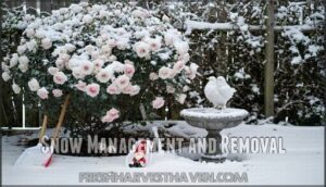snow management and removal
