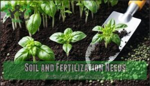 soil and fertilization needs