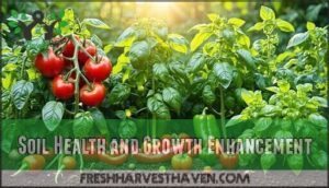 soil health and growth enhancement