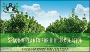 spacing plants for air circulation
