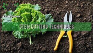 stem cutting techniques