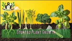 stunted plant growth